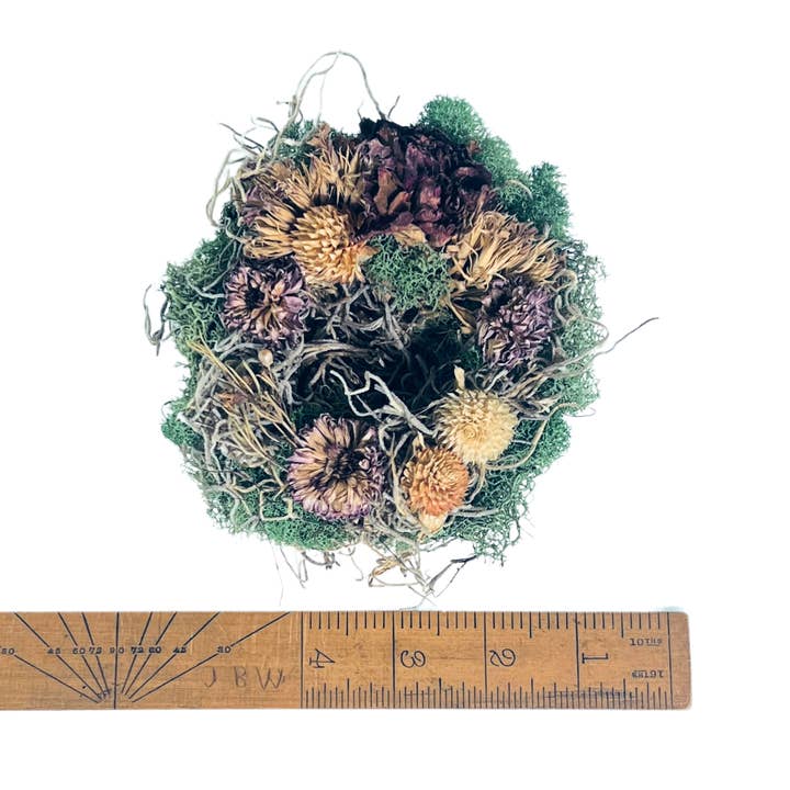 Sow the Magic - Wholesale Spiritual Stone/Crystal - Garden Nest Crystal Altar With Dried Flowers