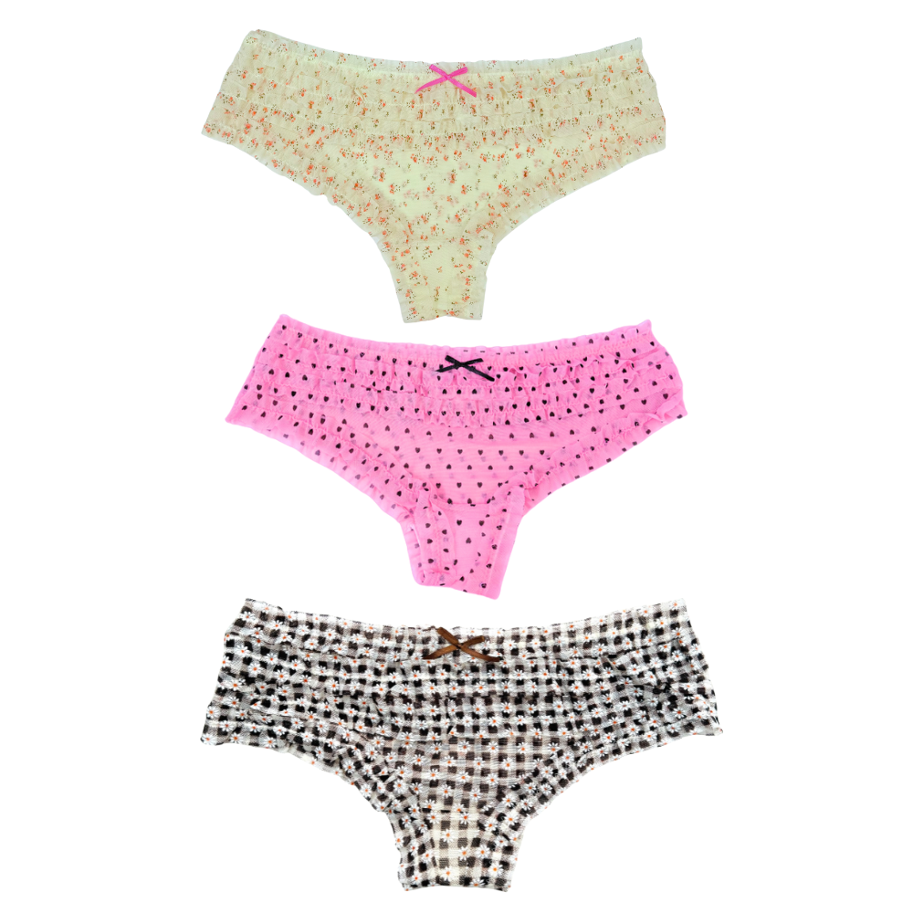 Milanblocks LLC – Großhandel Unterwäsche – Damen – Milanblocks Vintage-Stil Gingham Daisy Rüschen-Slips12