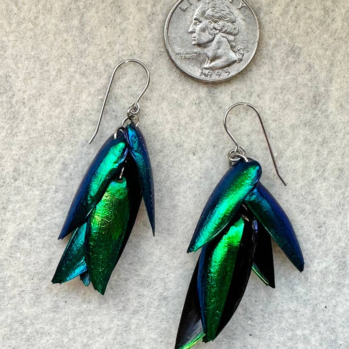 Isms – wholesale Dangle earrings – Green Real Beetle Wing Earrings - Wings of Invasive Elytra Beetles - Surgical Steel