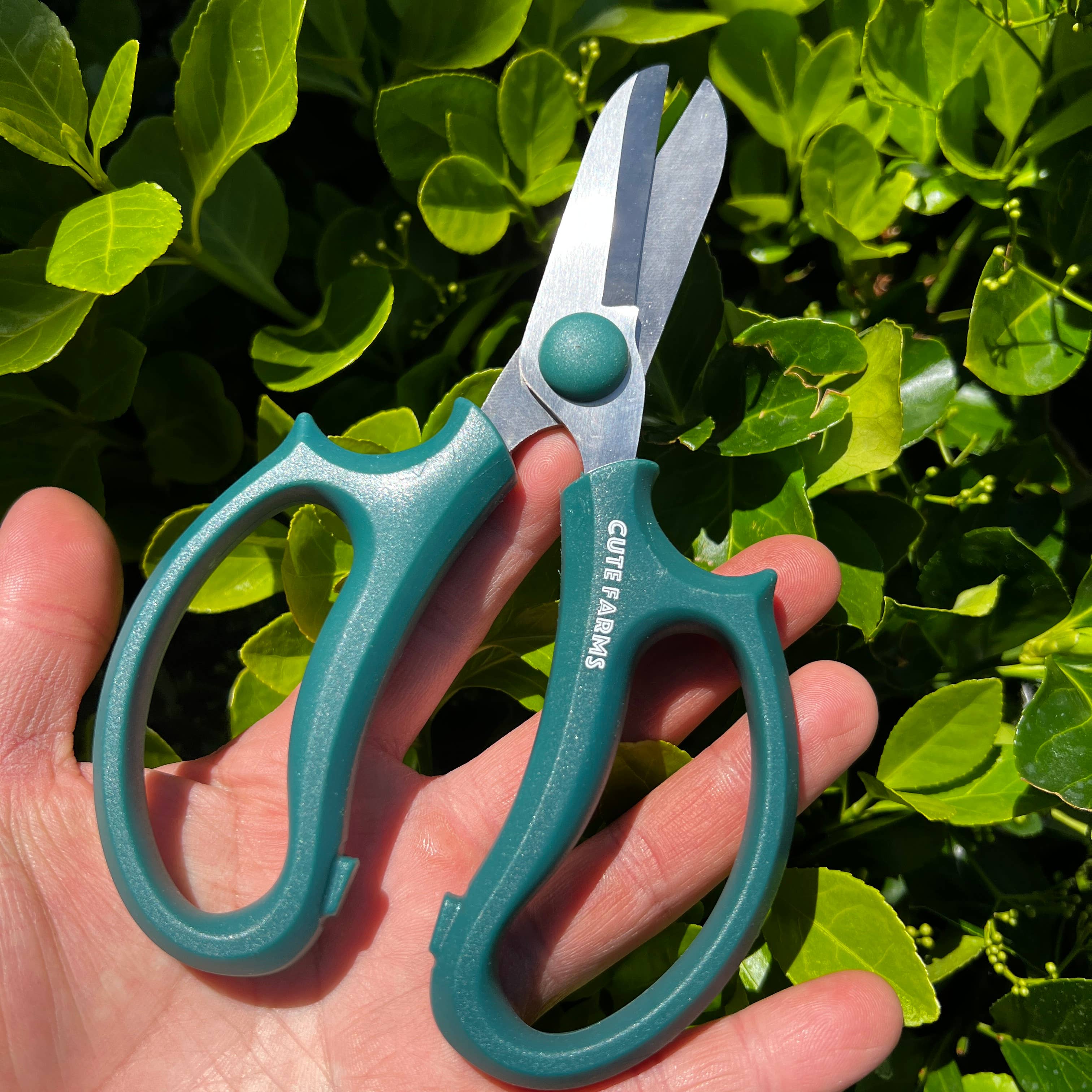 Cute Farms - Vente Outil de jardinage - Ciseaux pour fleurs et jardins4