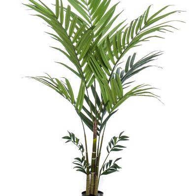 Kunstig Kentia-palme – 180 cm – Højkvalitets kunstig palme med naturtro grønne blade – Stedsegrøn dekorationsplante til stue, vinterhave & kontor – Vedligeholdelsesfri & holdbar for engroshandel hos Oasis of Life