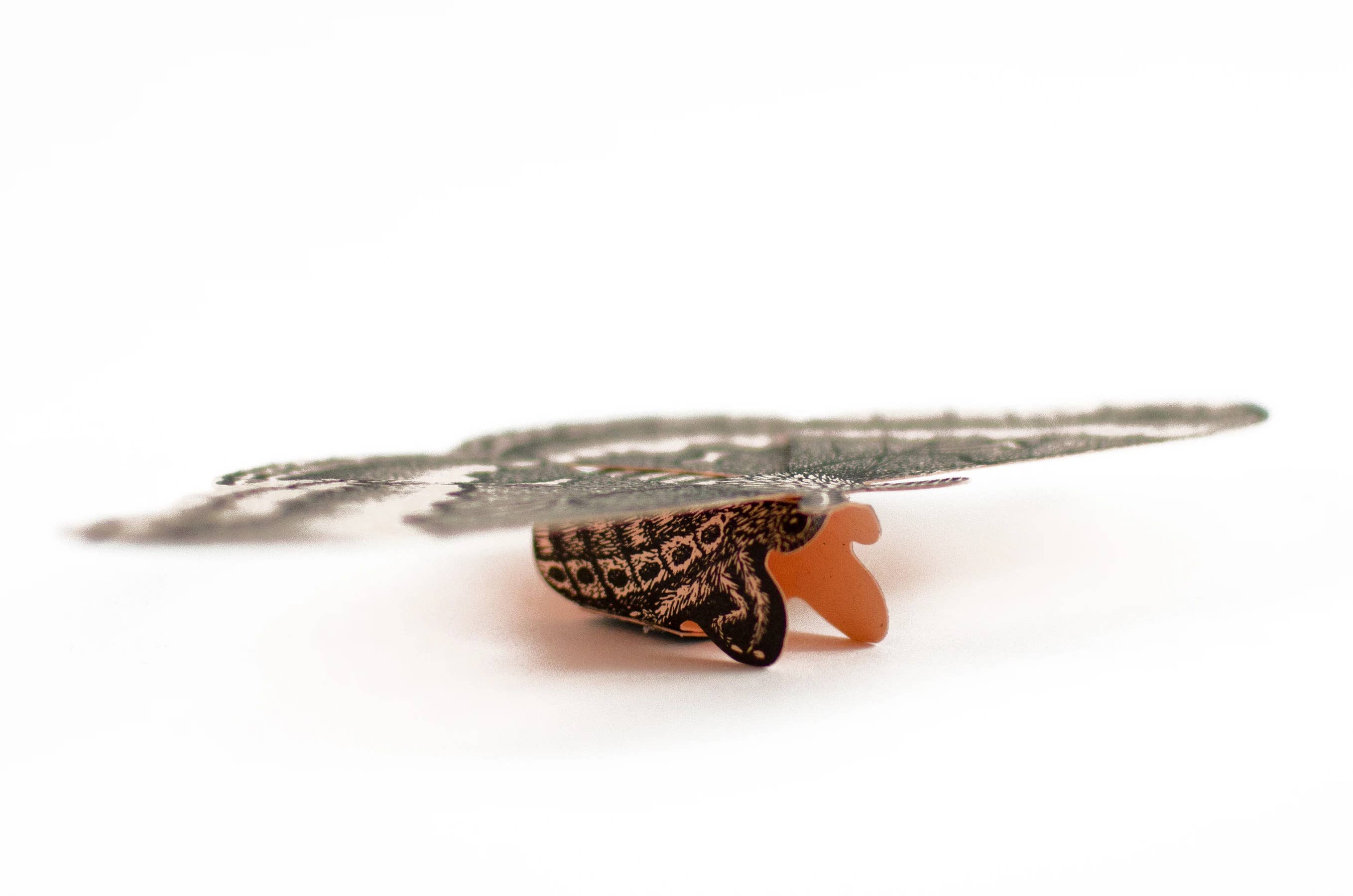 Questionable Press - Wholesale DIY Craft Kit - Moth Paper Sculpture2