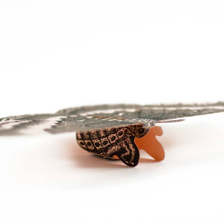 Questionable Press - Wholesale DIY Craft Kit - Moth Paper Sculpture2