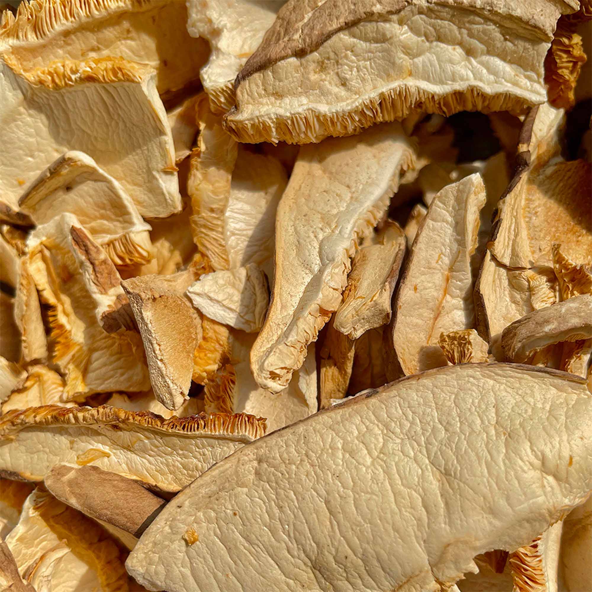 IoBoscoVivo – wholesale Dried/dehydrated vegetables – Organic Dried Sliced Shiitake Mushrooms 8g1