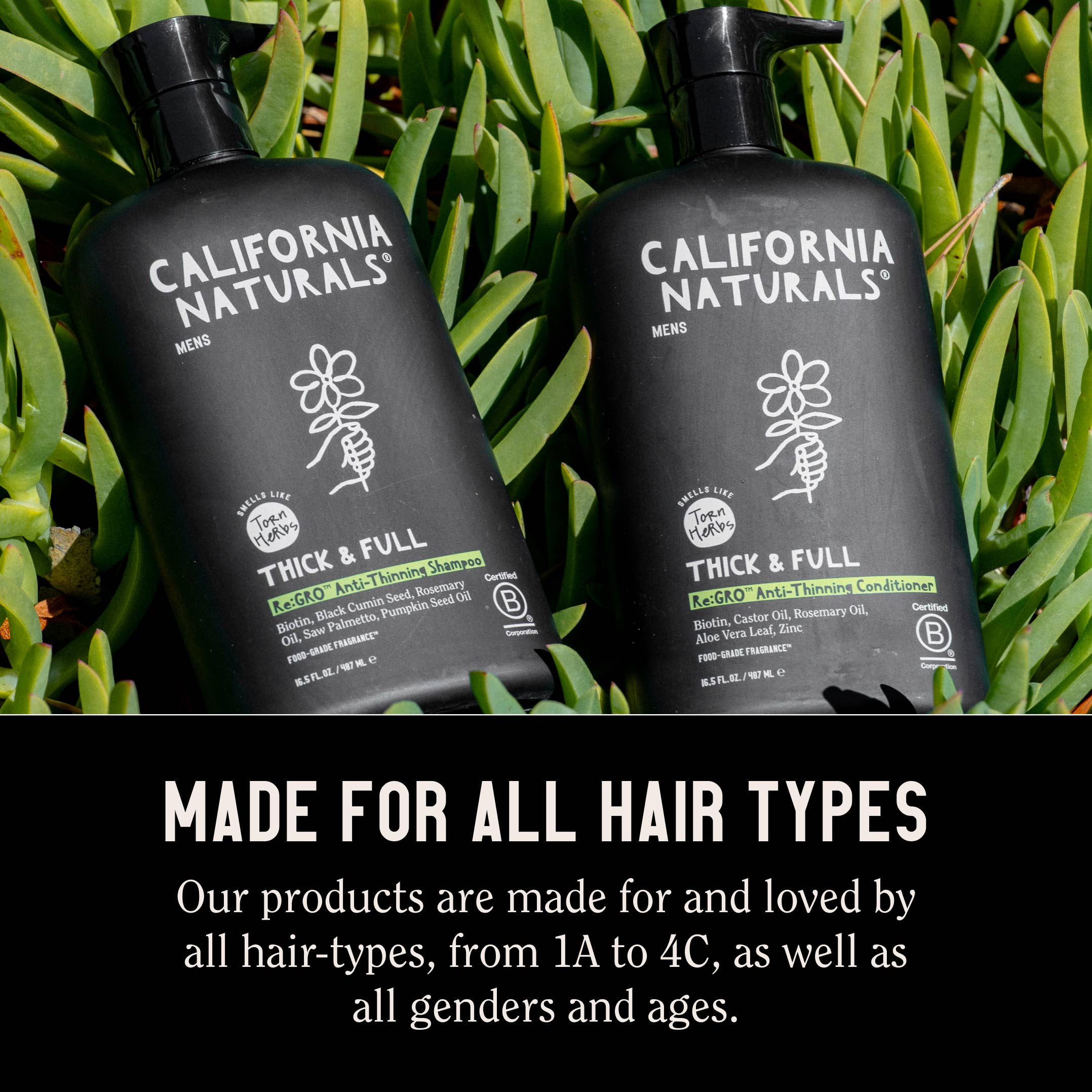 California Naturals - Wholesale Hair Shampoo - Men's - Mens Re:GRO Anti-Thinning Shampoo6