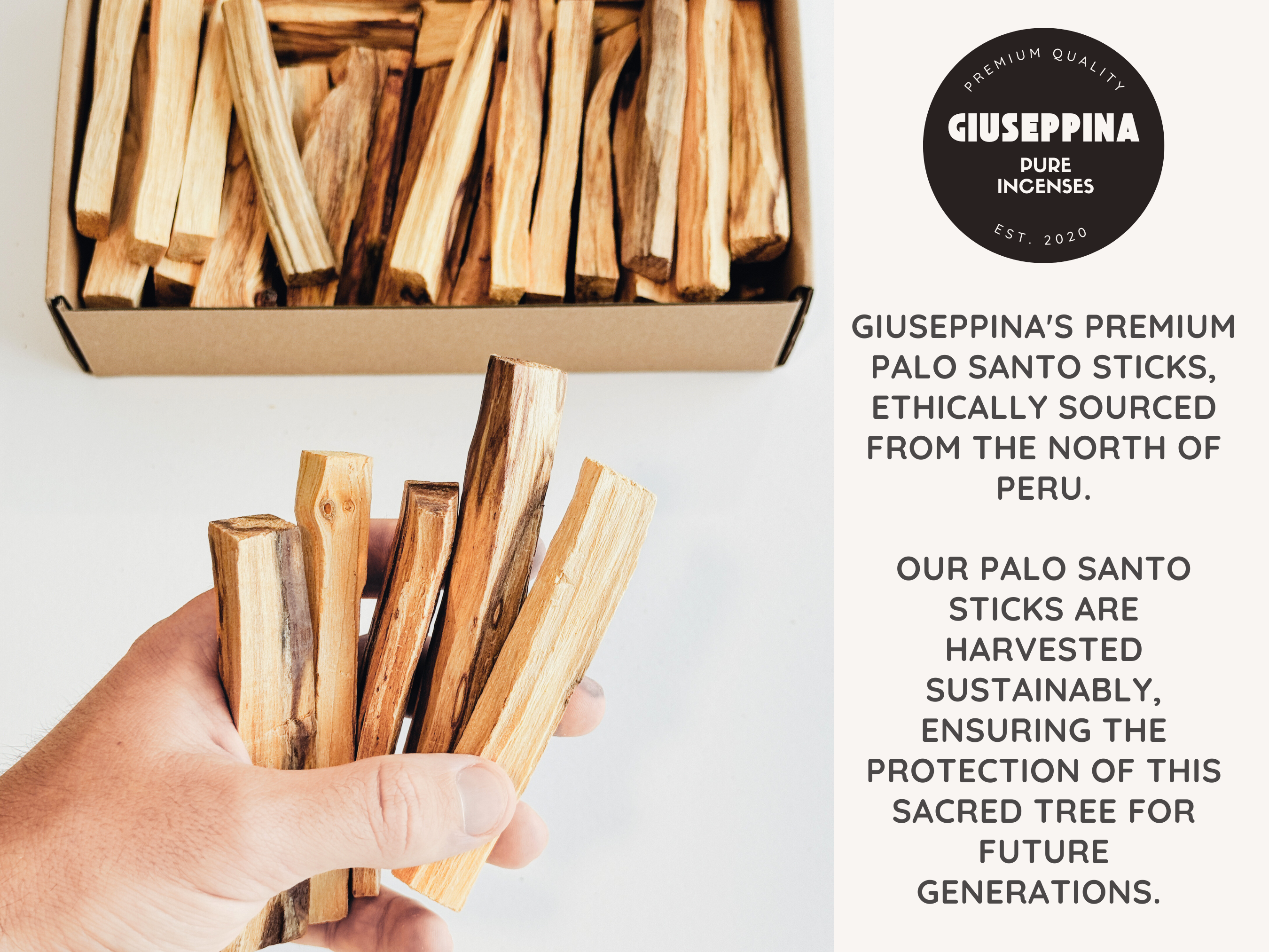 Giuseppina Shop - Wholesale Incense - THE PALO SANTO BOX - 500g Sticks Ethically Sourced from Peru2