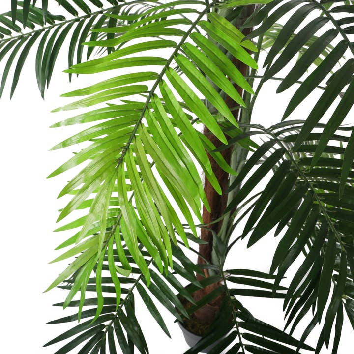 Closer2Nature - Venta al por mayor Plantas artificiales - Palmera Kentia artificial de 5 pies2