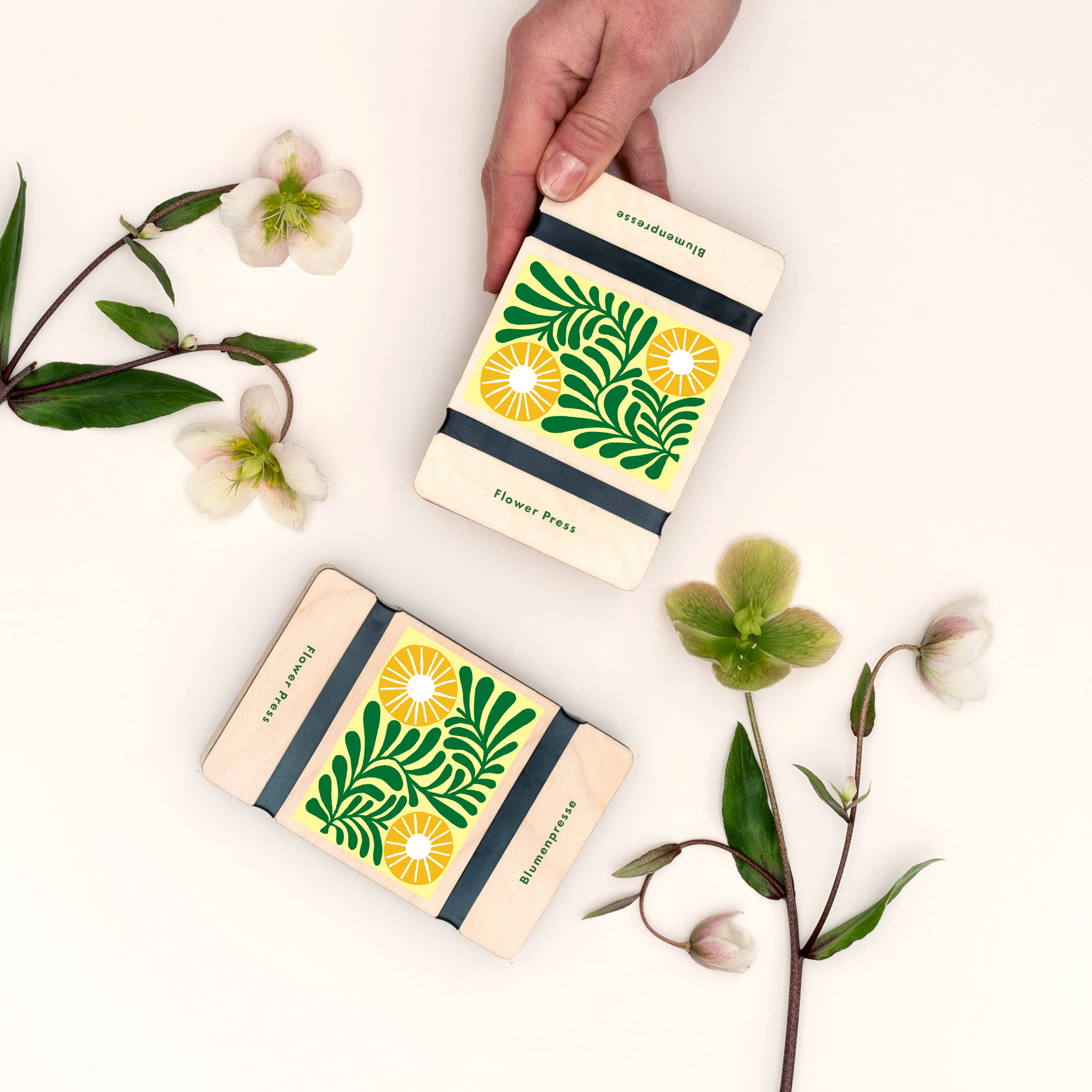 Studio Wald - UK Made – wholesale DIY craft kit – Pocket Flower Press - Vine1