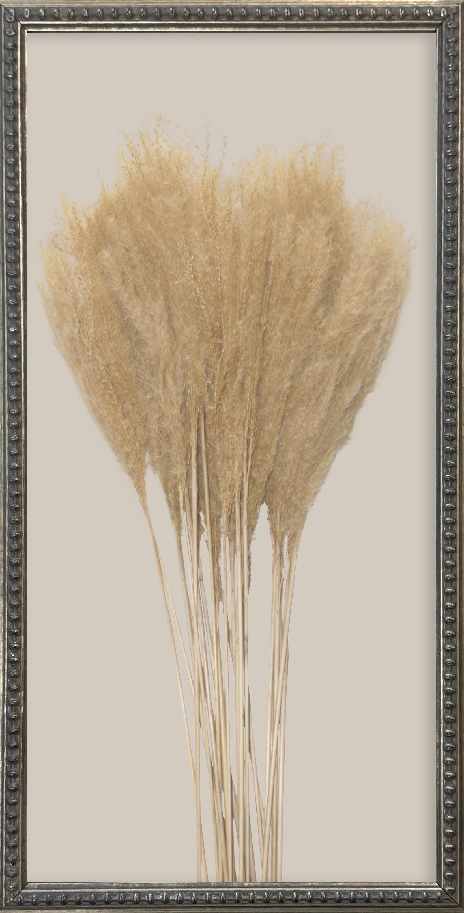 Brayden and Brooks – wholesale Gallery wall set – 12x24 Textured Botanicals Silver Bead Gallery Frame6