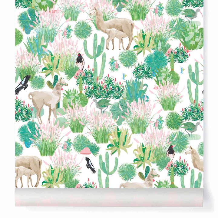 PAMPICHULLA Carta da parati rosa per la vendita all'ingrosso da parte di Little Cabari