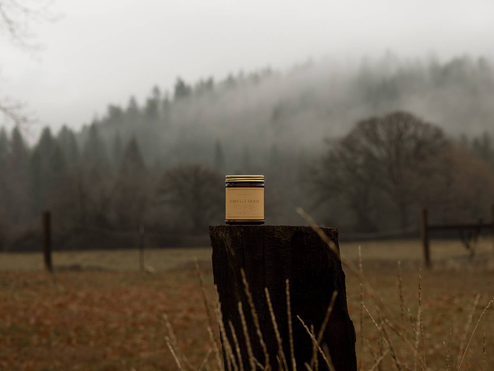 Landmark Fine Goods - Wholesale Jar/Filled Candle - Fall Candle - Harvest Moon Luxe Label 1