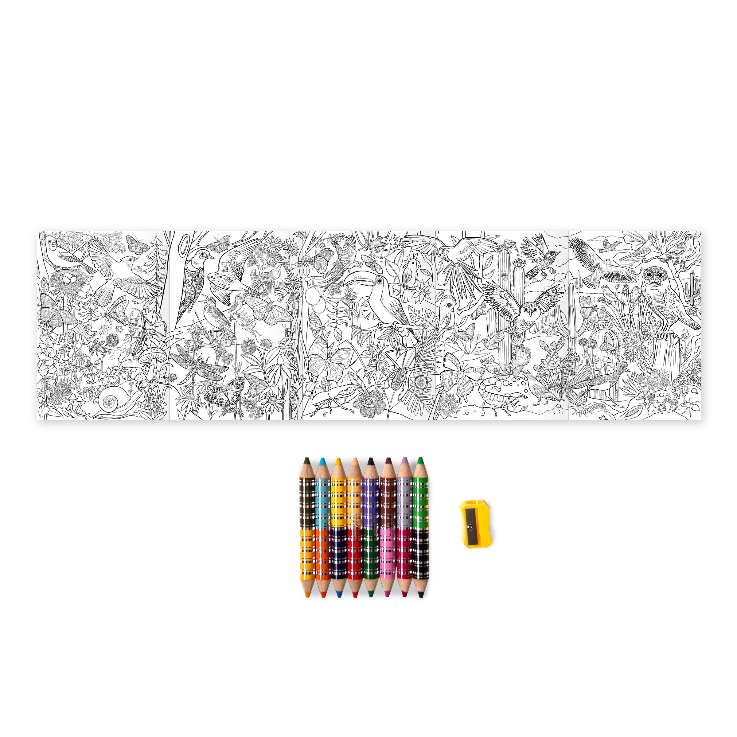 eeBoo - Vente Crayons de couleur - Ensemble de 8 gros crayons Bird & Butterfly avec mini fresque2