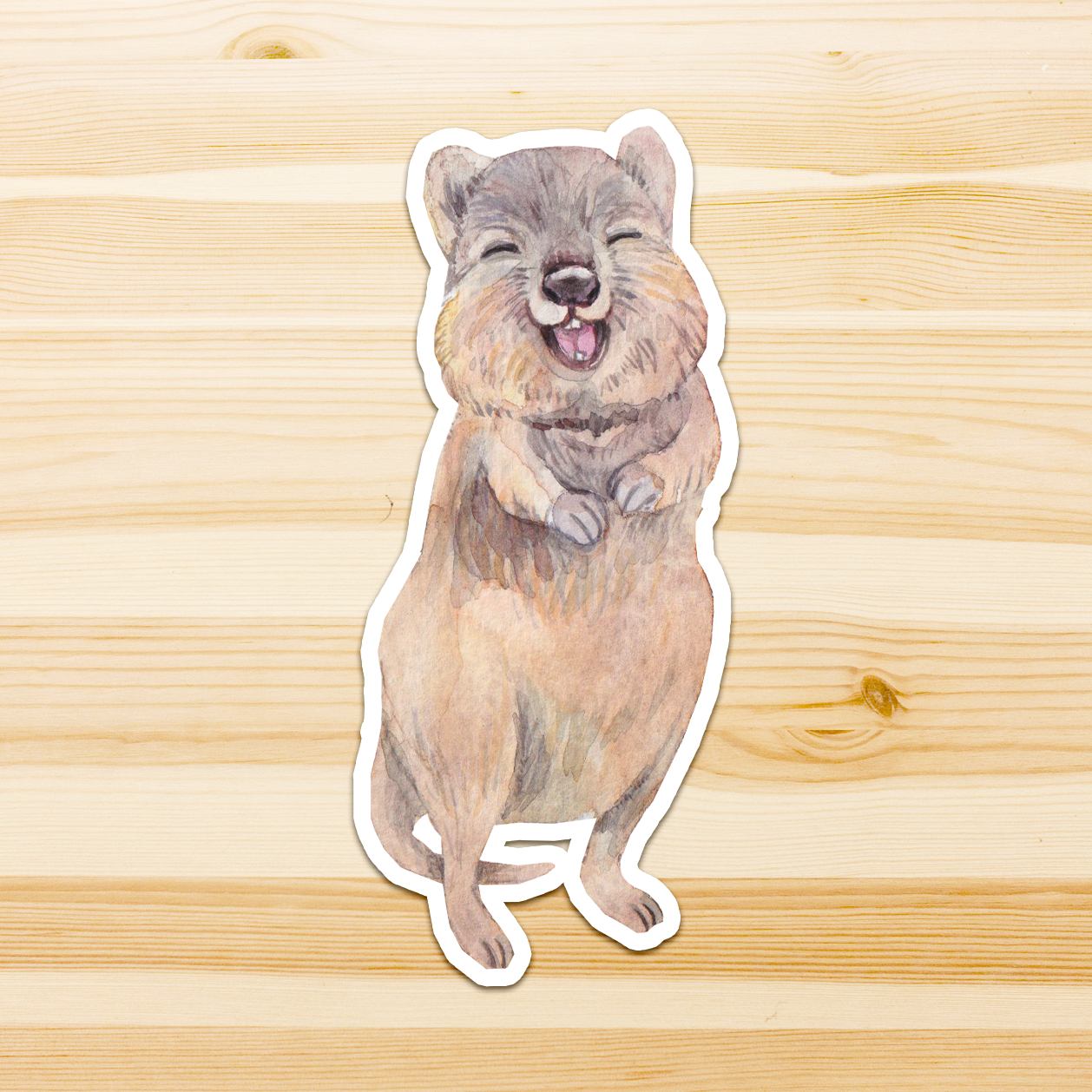 Watercolour By Cat - Wholesale Sticker - Large Australian Animal Vinyl Sticker4