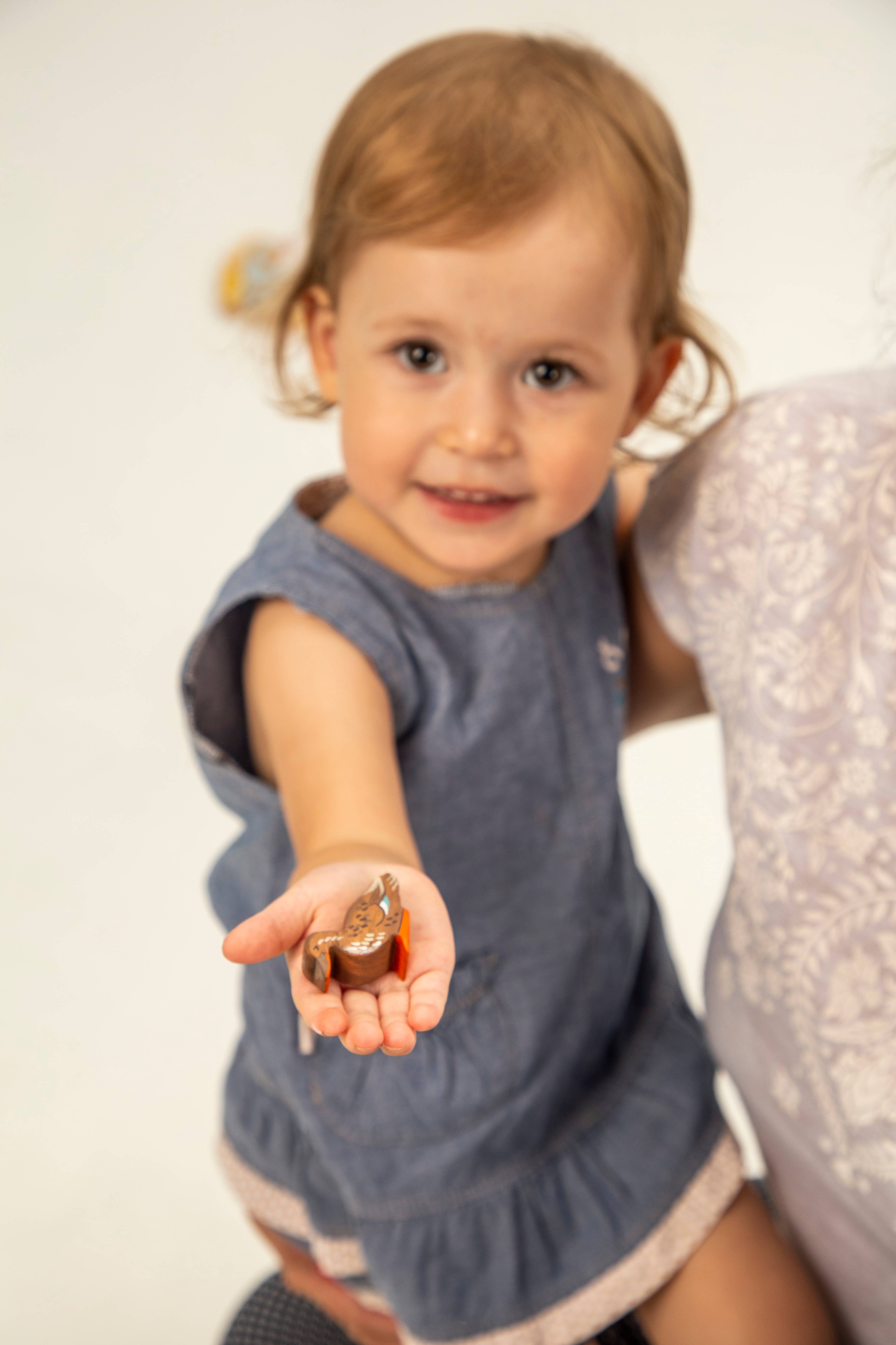 Wooden Caterpillar Toys - Wholesale Wood Toy - Kids - Wooden toy brown duck bird Toy mallard drake Widgeon Bird1