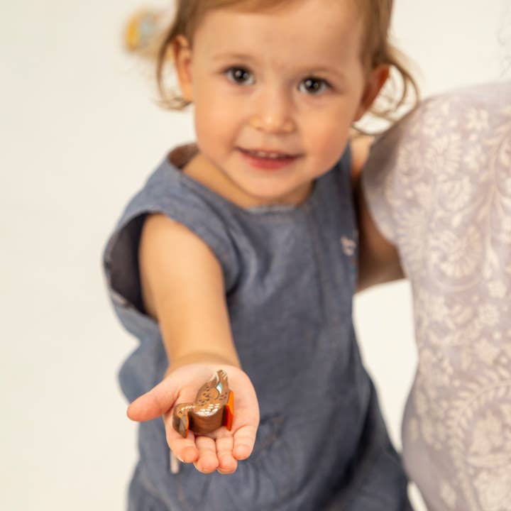 Wooden Caterpillar Toys - Wholesale Wood Toy - Kids - Wooden toy brown duck bird Toy mallard drake Widgeon Bird1