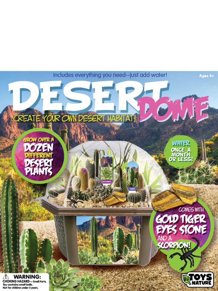 Kit de Terrarium de Cactus et Plantes Succulentes de la Biosphère du Dôme du Désert pour la vente par Silver Circle Products