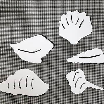 DCentral Magnetics - Wholesale Magneet - Centrale schelpen flexibele schermmagneten Grootte 4,5 „x 3.5"1