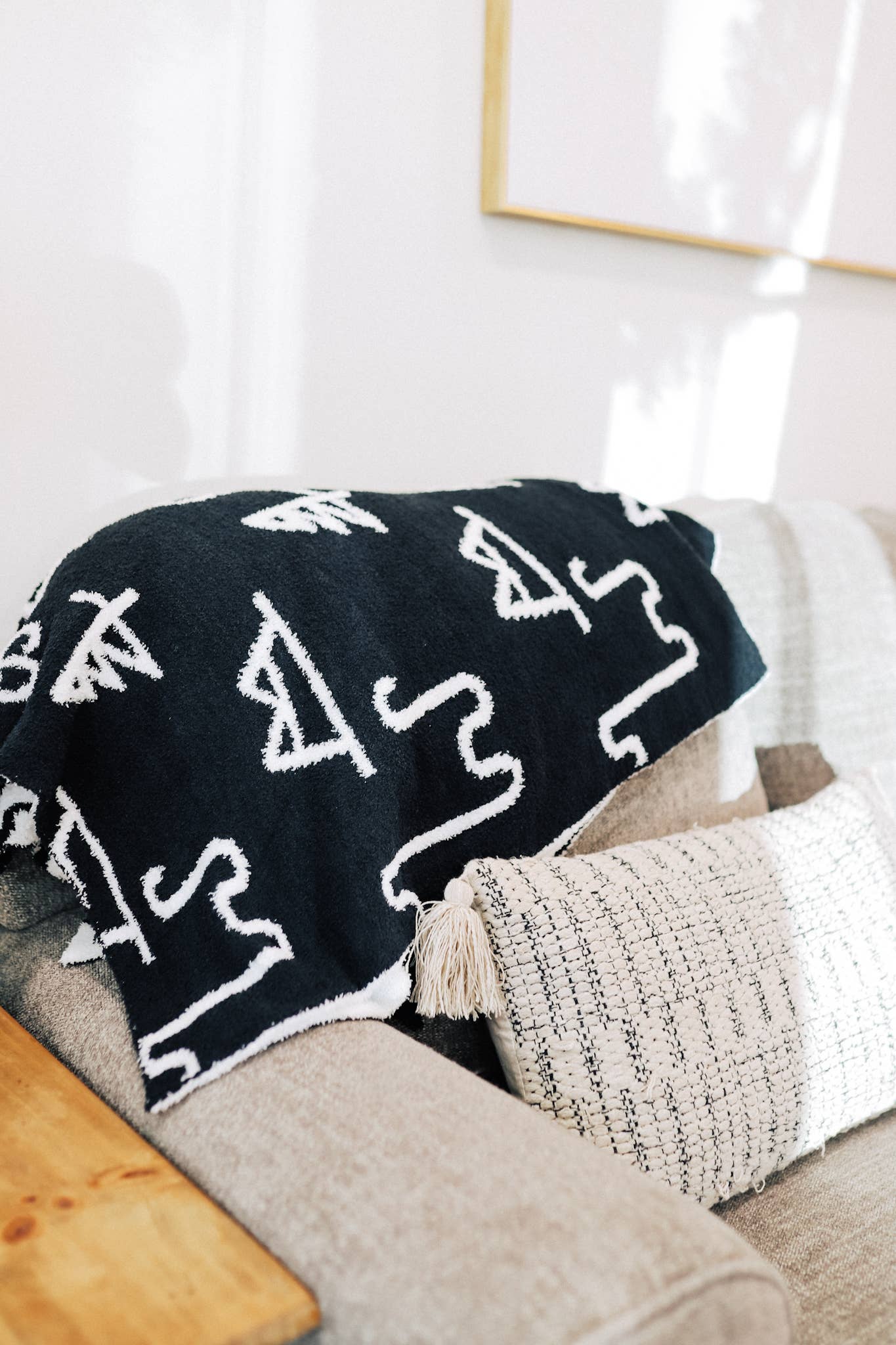 The Front Porch Label - Wholesale Throw Blanket - Black Brand Throw Blanket2