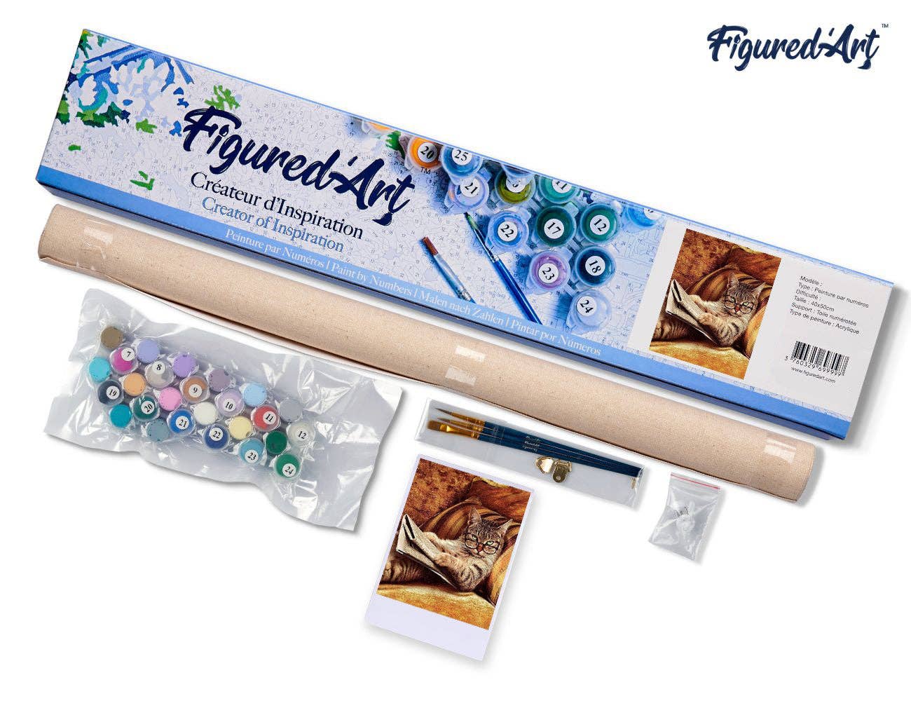 Figured'Art - Wholesale DIY Craft Kit - Paint by numbers - Don't mess with This Cat4