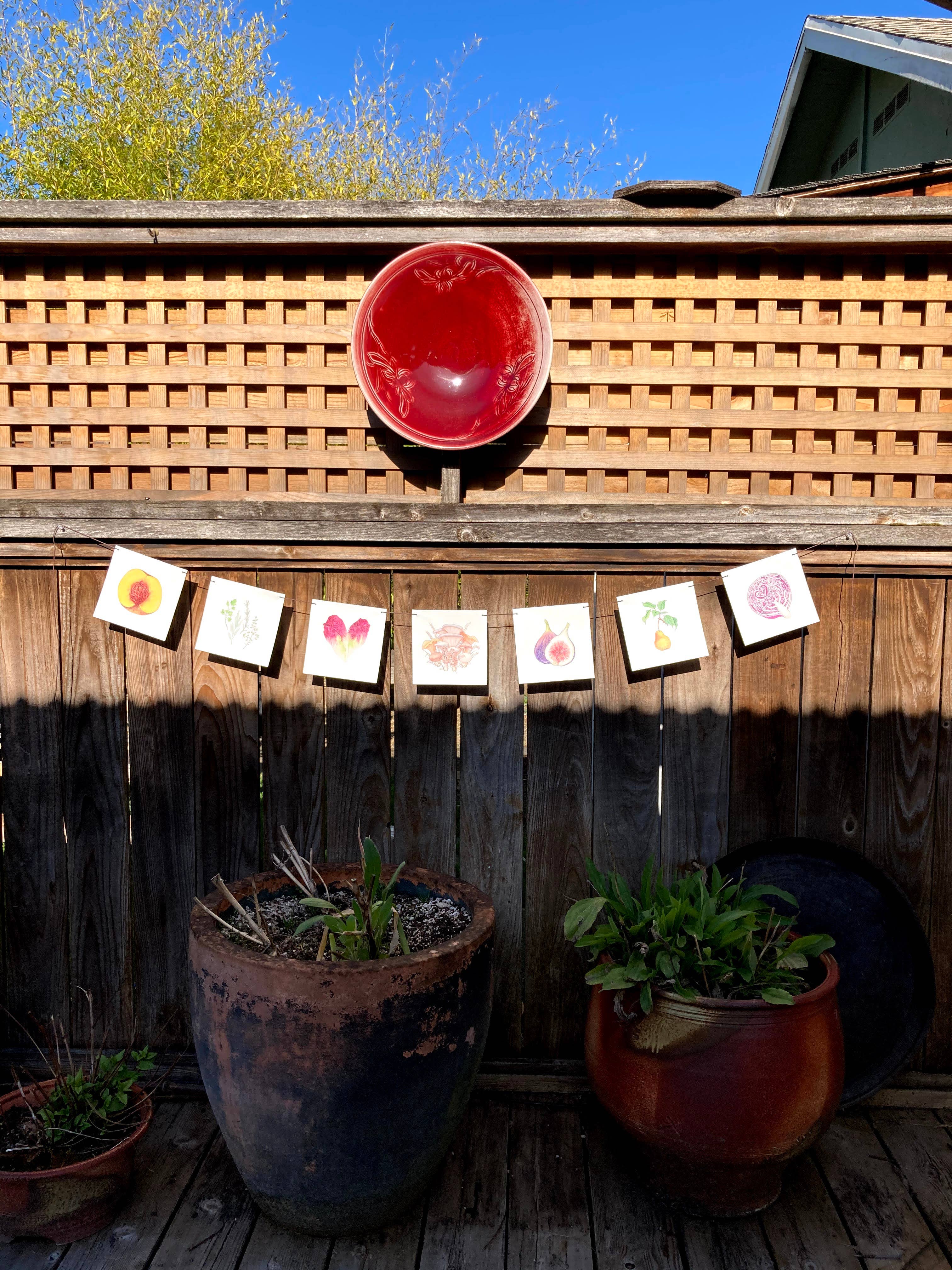 Plant Posse – wholesale Banner – Produce Prayer Flag28