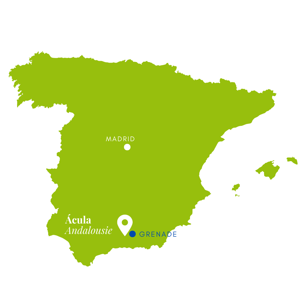 Chercheurs d'or vert - Wholesale Vinegar - Yuzu Sweet and Sour Vinegar - OMED2