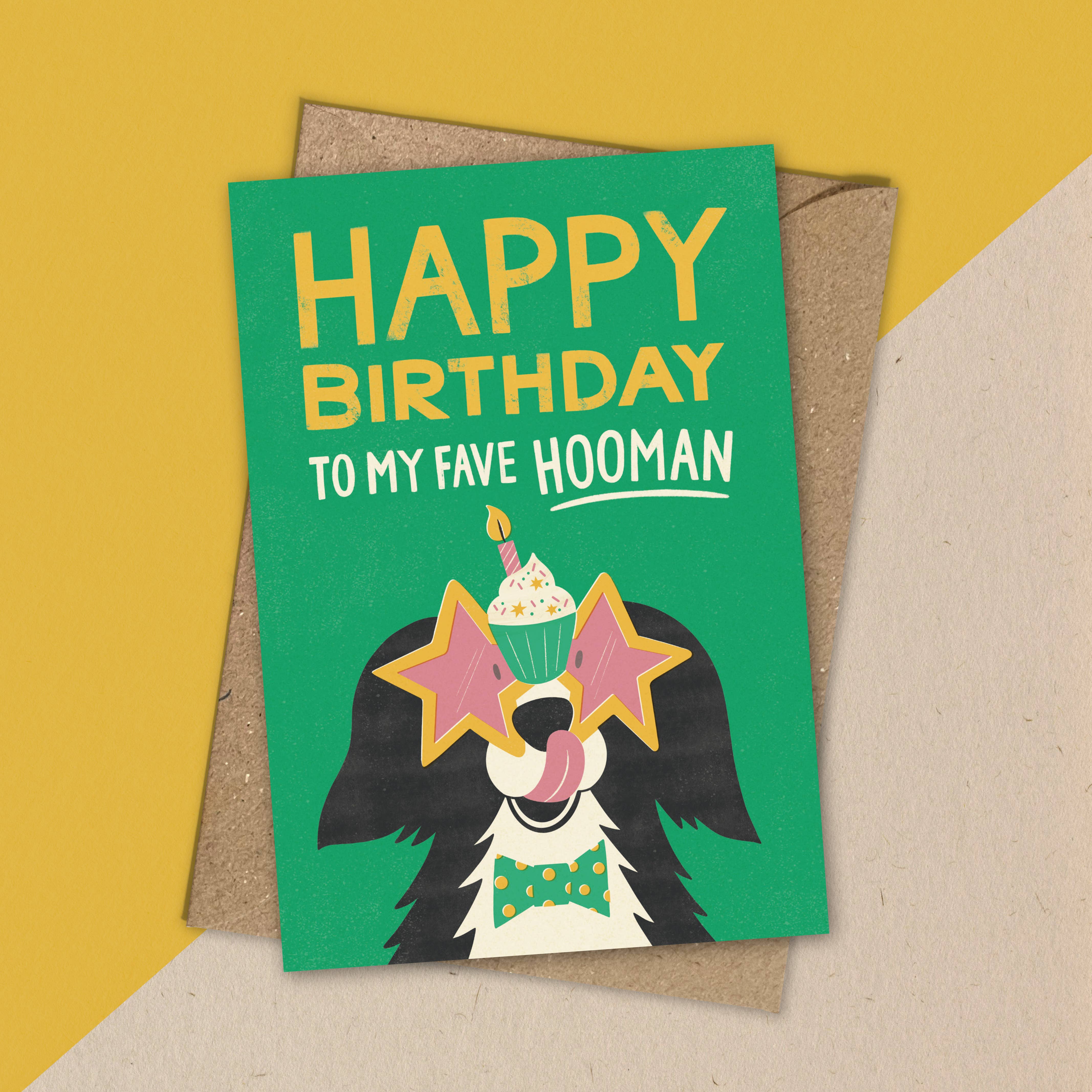 Bird & Co Studio - Wholesale Birthday Card - Birthday Dog | Funny Party Collie Greeting Card3