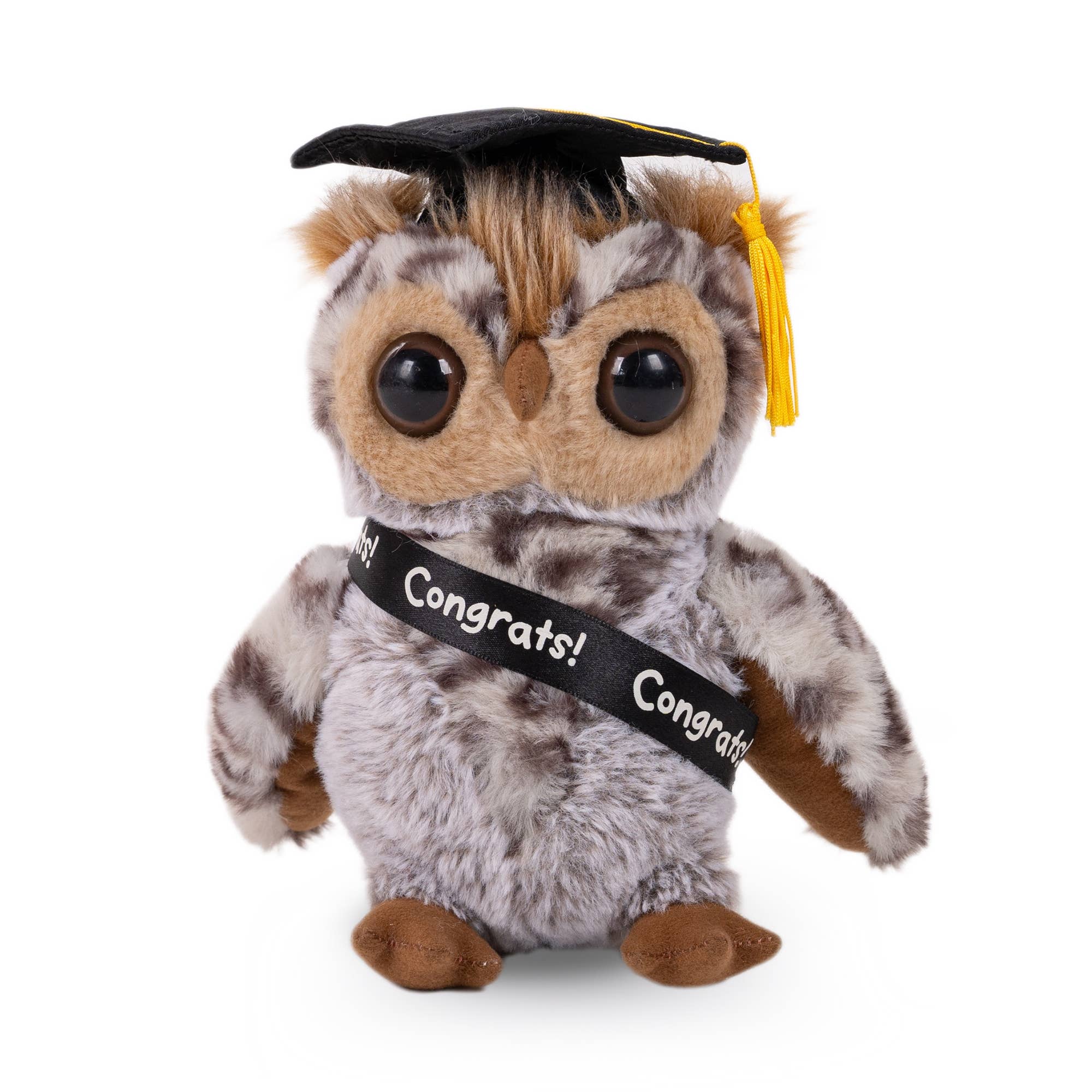 Plushland – wholesale Stuffed/plush toy – Kids & baby – 9″ Personalized Graduation Owl Plush in Custom Cap & Sash