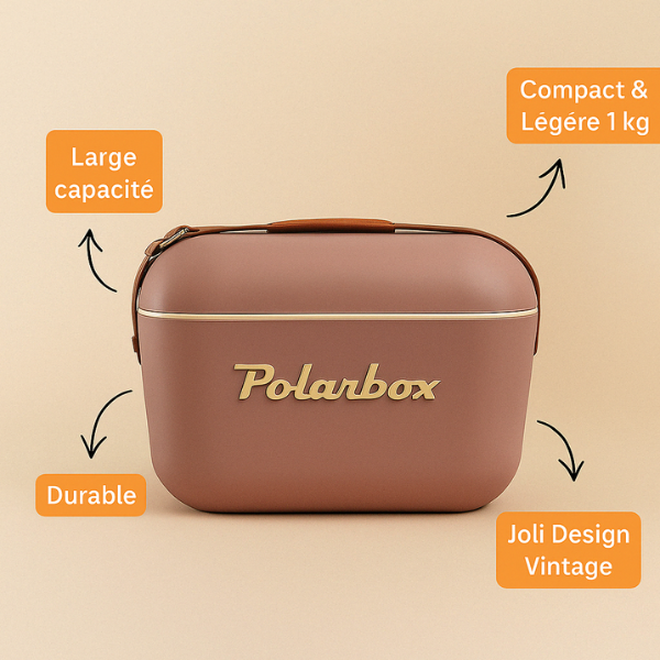 BADAWIN - Vendita all'ingrosso Borsa termica/frigo - Polarbox Mauve Cooler 12L - Gold11