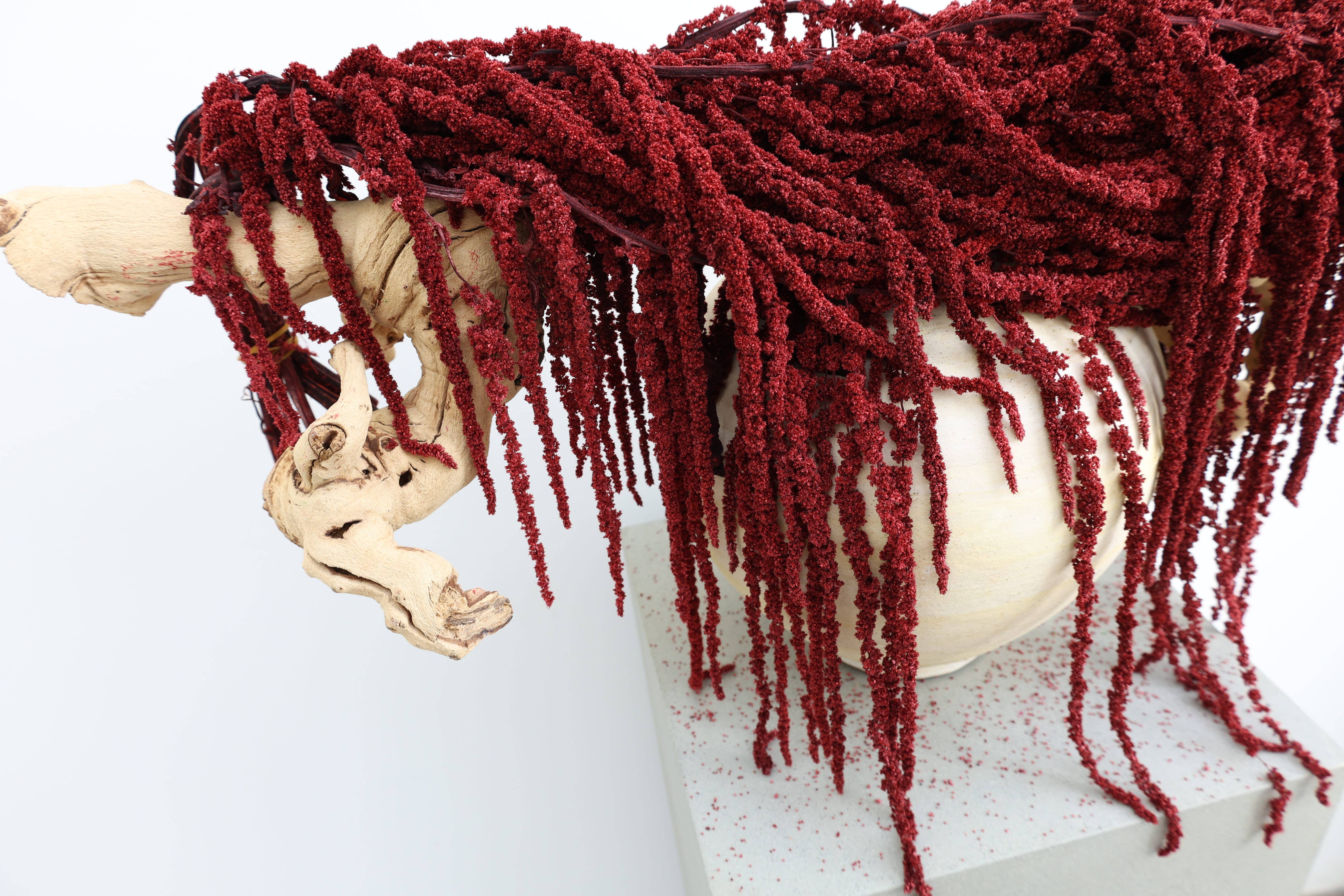 FlowerFantaSee - Vente Fleur séchée/pressée - Amarante préservée rouge profond2