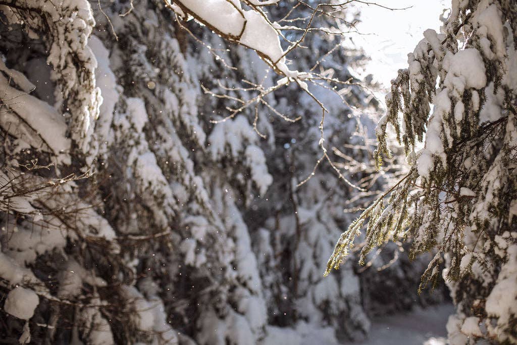 NNK Press - Vente Crafts, Hobbies & DIY - Sortie spéciale No 2 de By Hand : In the Cabin7