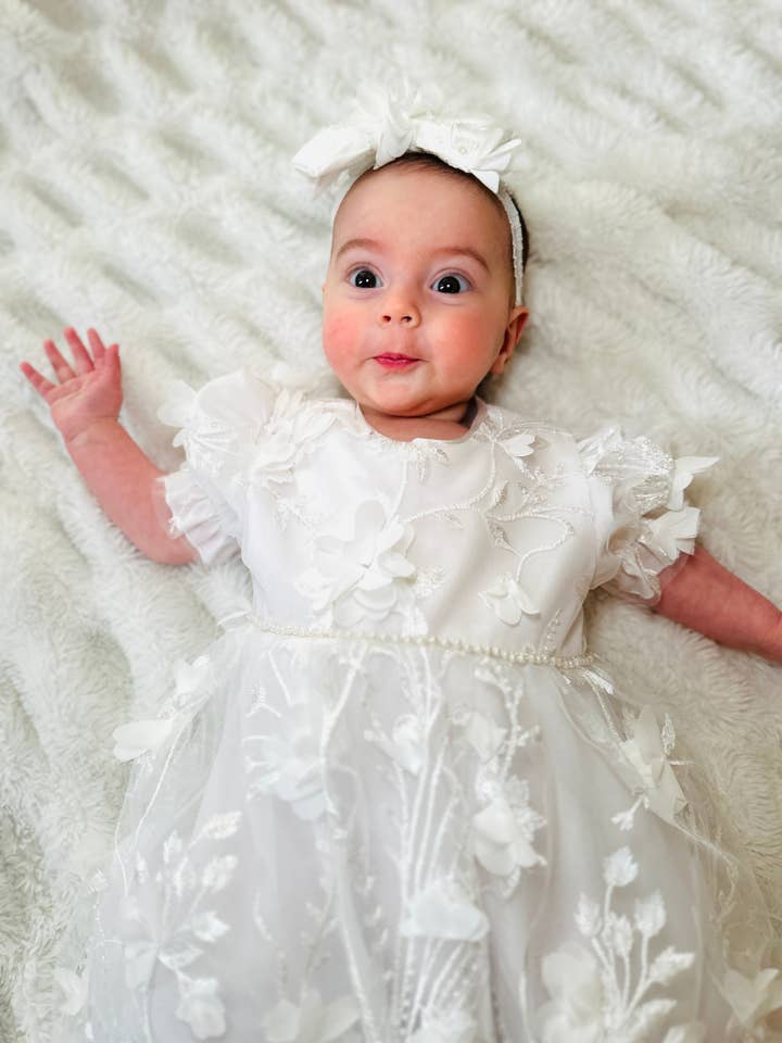 Coquelicot pour la vente par Zoe Ltd