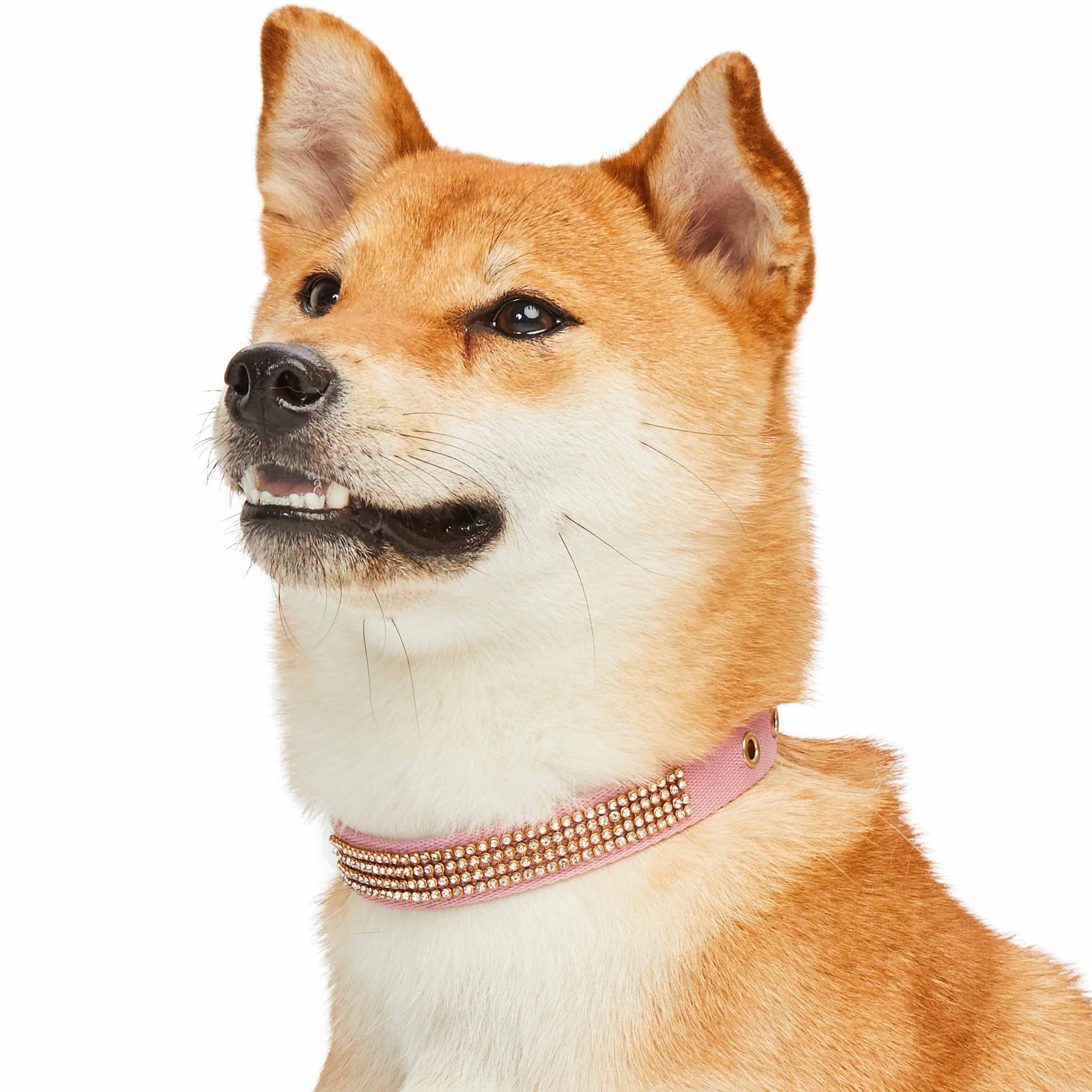 Blueberry Pet - Wholesale Pet Collar - Dog - 4 Colors, Bling Crystal Rhinestone Dog Collars8