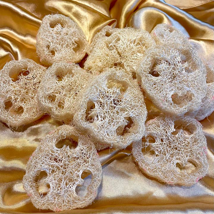 KIGO – Großhandel Luffa-Schwamm – Alle natürlichen Luffascheiben für die Seifenherstellung (60er-Packung)