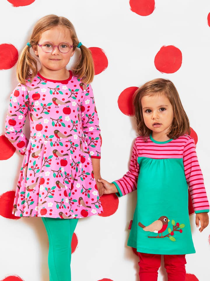 Organic Robin Applique Dress for wholesale by Toby Tiger