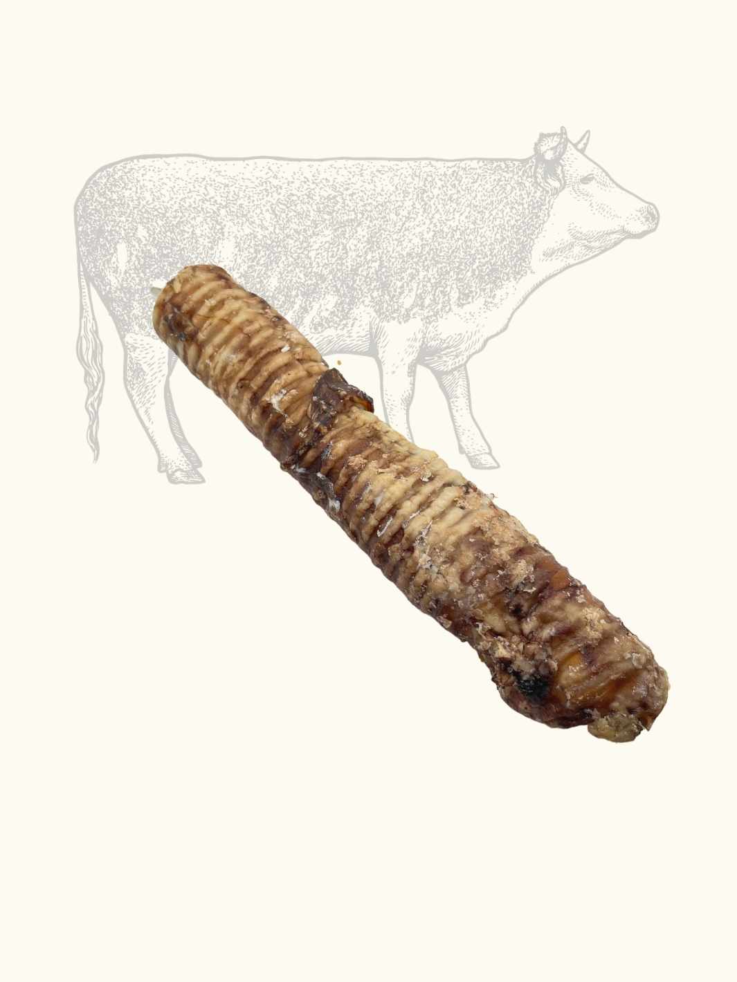 Truffe Délice - Vente Friandises – chien - Trachées de bœuf5