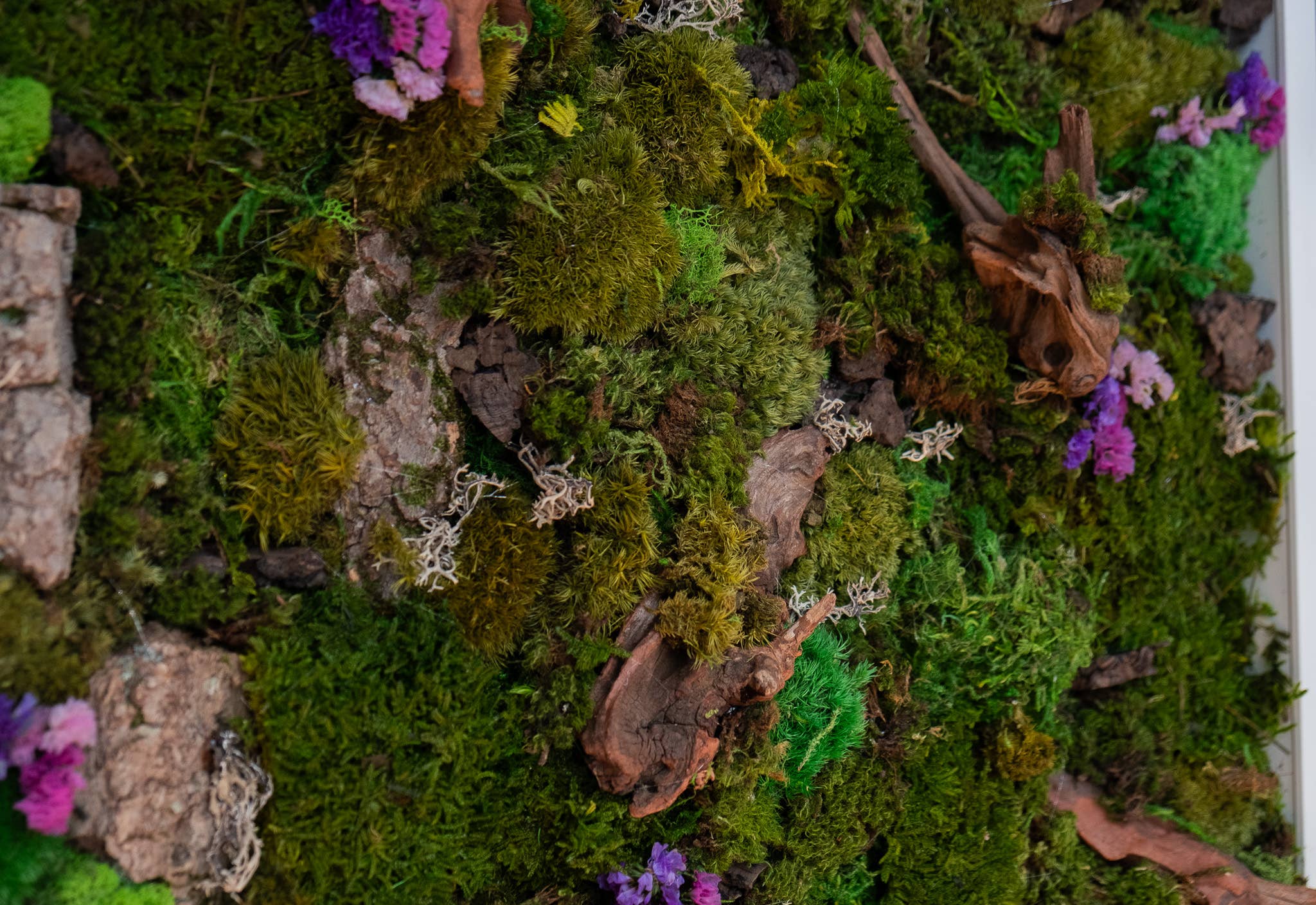TERRART NYC - Wholesale Wall Planter - Moss Heaven - Moss Wall7