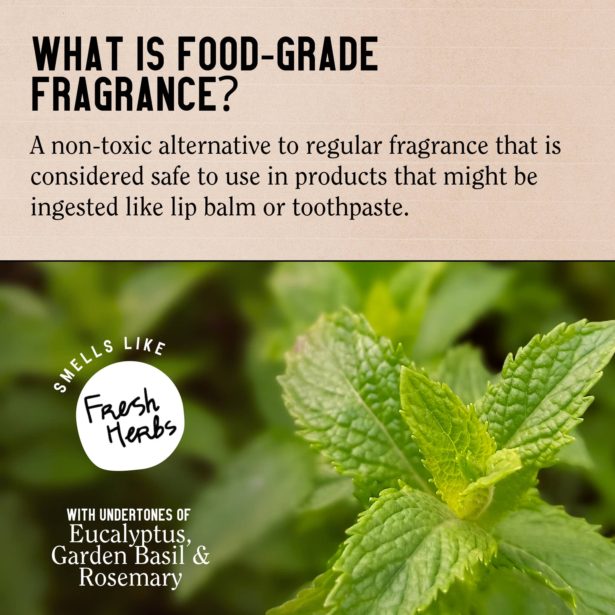 California Naturals - Wholesale Hair Conditioner - Re:GRO Anti-Thinning Conditioner5