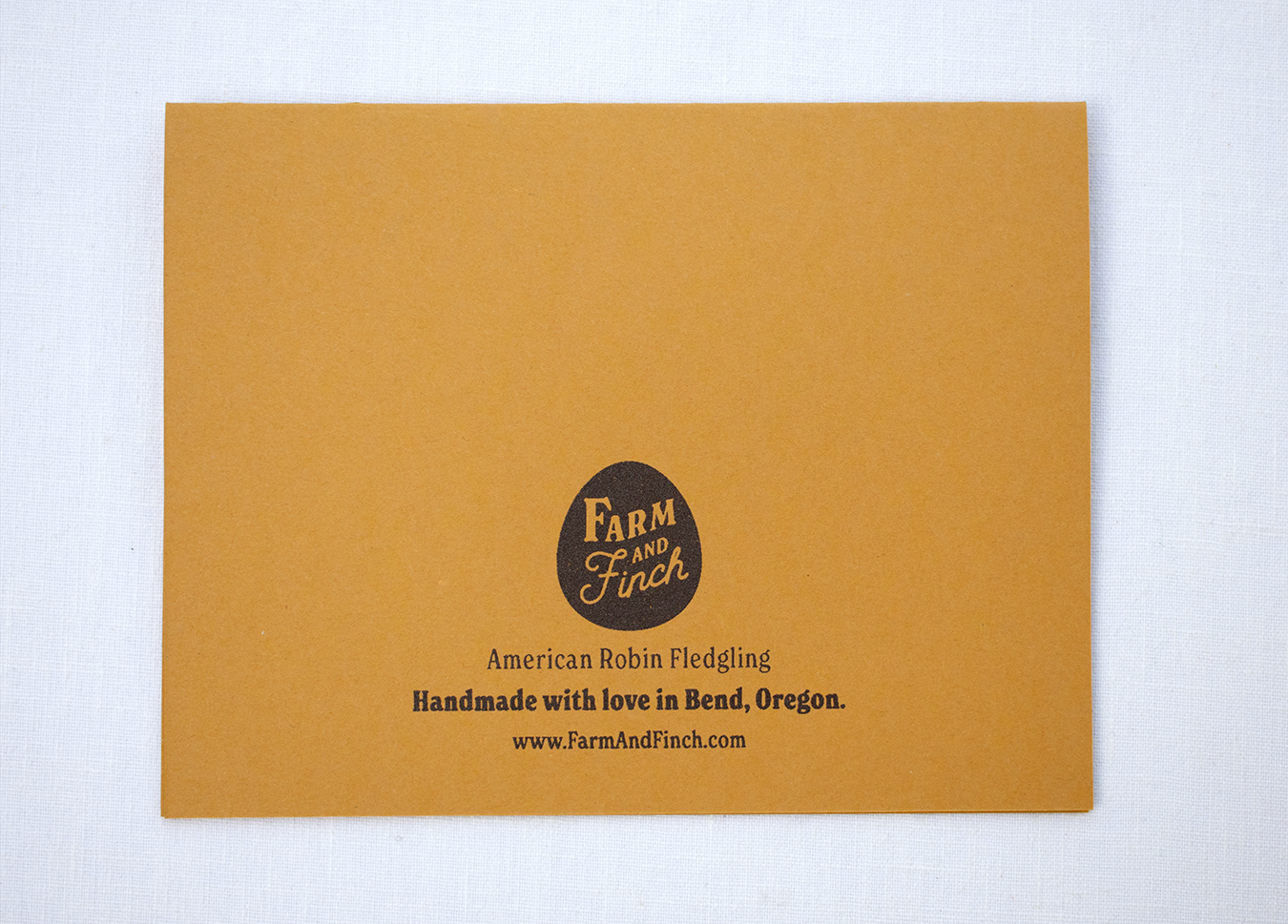 Farm and Finch Creative - Wholesale Everyday Greeting Card - Robin Fledgeling Card2