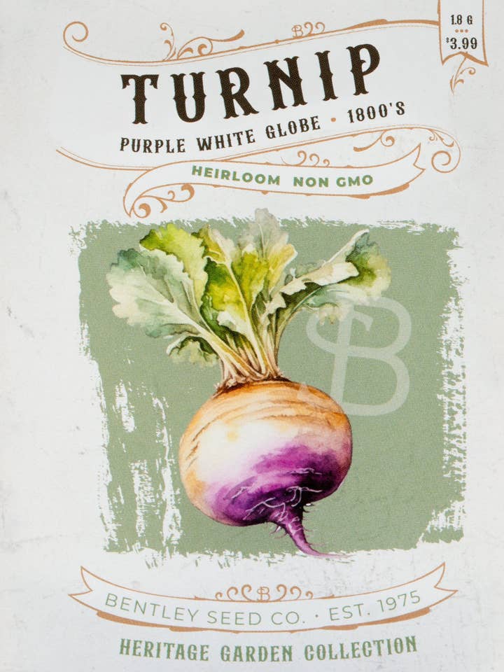 Turnip-Purple White Globe 1800's for wholesale by Bentley Seed Co.