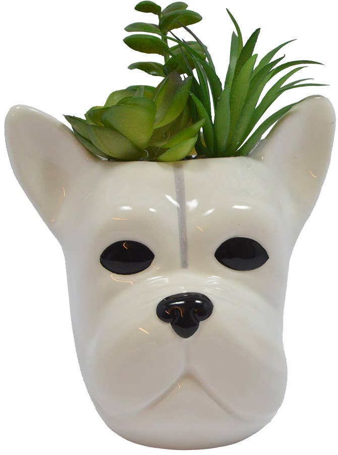 Concepts In Time - Wholesale Plant Pot - Concepts Pup Planter – 6" Faux Succulent in Dog Pot0
