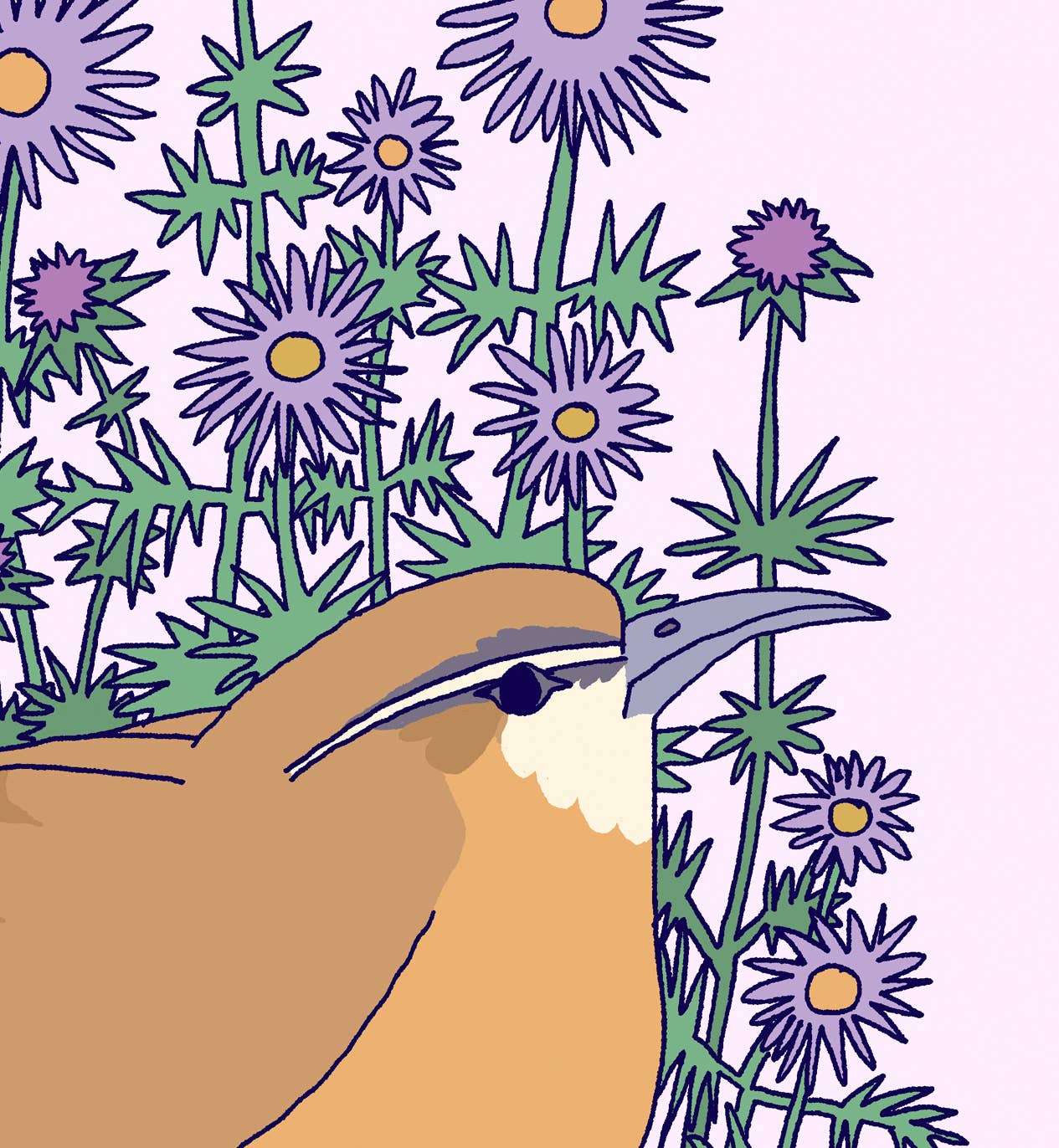 Lydia Tonkonow Art and Design LLC - Wholesale Art Print - Carolina Wren and New England Aster - 8x10" Print1