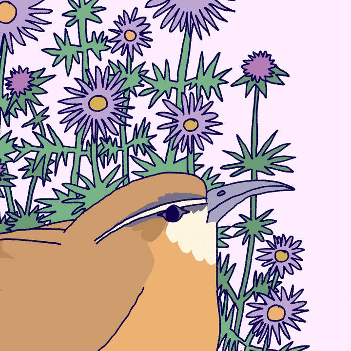 Lydia Tonkonow Art and Design LLC - Wholesale Art Print - Carolina Wren and New England Aster - 8x10" Print1