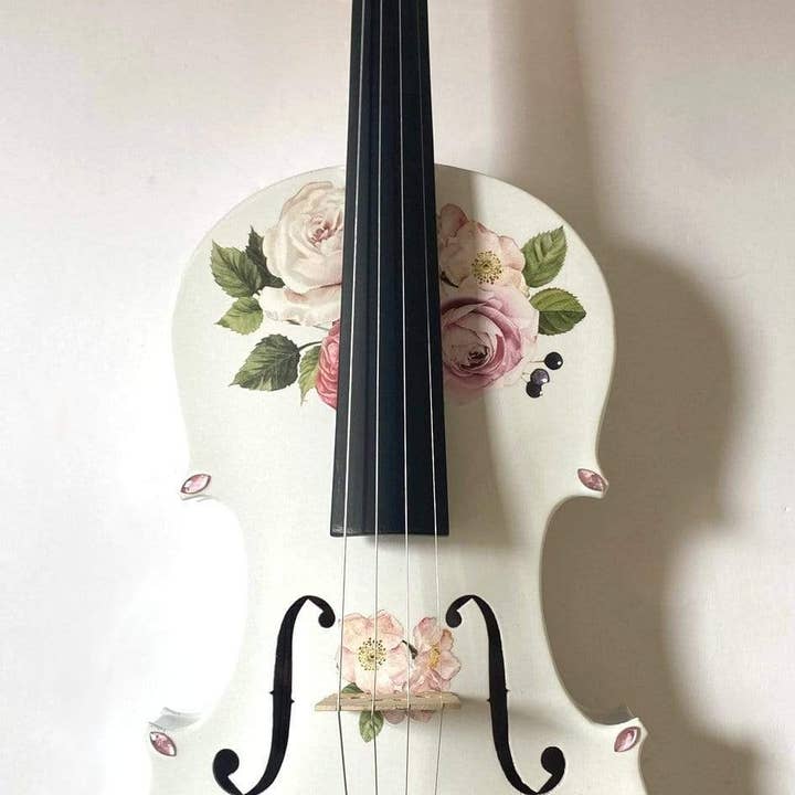 Rozanna's Violin - Vendita all'ingrosso Strumenti musicali - Completo da violino Rose Delight di Rozanna
