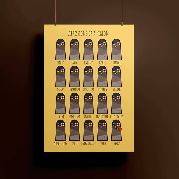 Mr Watson Design - Wholesale Art Print - Expressions of a Pigeon - Bird print7