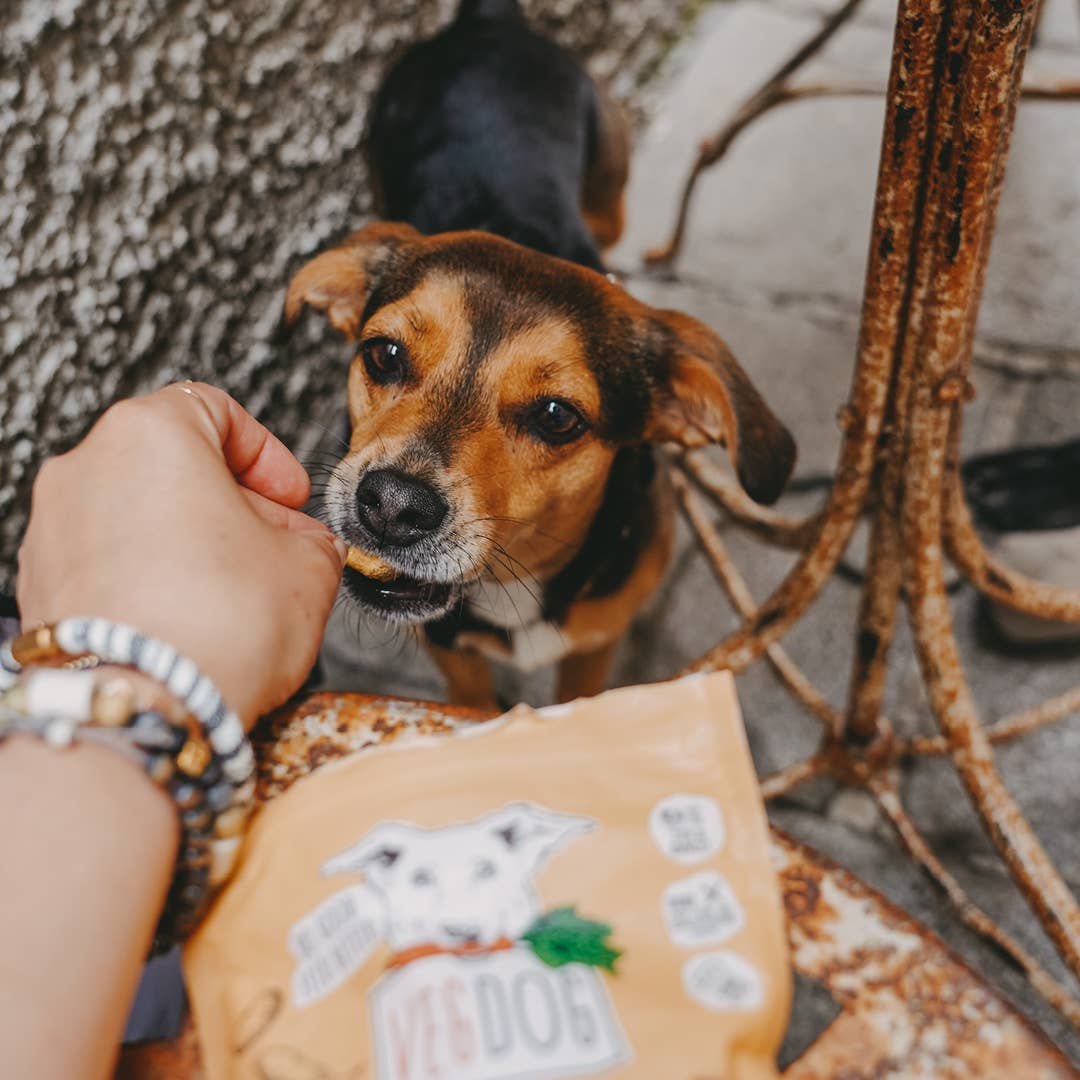 VEGDOG - Wholesale Pet Treats - Dog - VEGGIES immune 125 g5