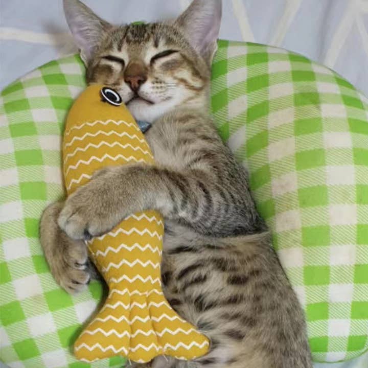 Toby Supply - Wholesale Pet Toy - Cat - Linen Catnip Fish Toy – Durable & Chew-Resistant_CWMM5399