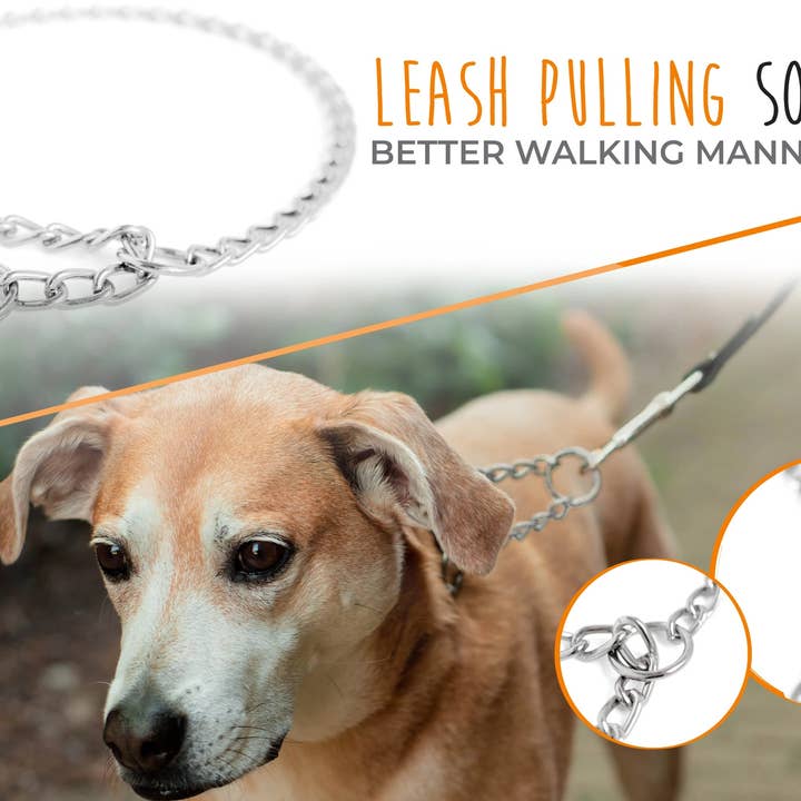 Mighty Paw - Wholesale Pet Collar - Dog - Stainless Steel Martingale Collar