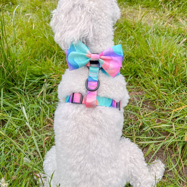 Cookie and Chewkie – Engroshandel Kæledyrsbutterfly – Hund – Sløjfe - 'Vindens farver'