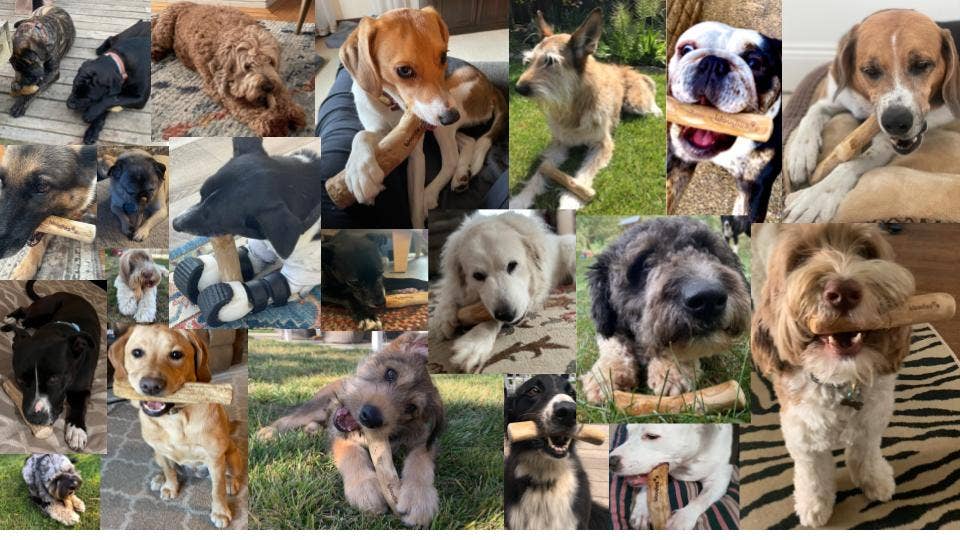 Woodies dog chew toys - Wholesale Pet Chew Toy - Dog - Woodies coffee wood dog chew toys (4 sizes)7