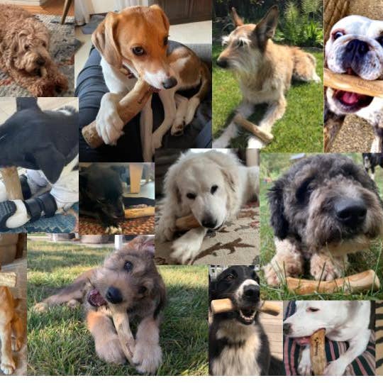 Woodies dog chew toys - Wholesale Pet Chew Toy - Dog - Woodies coffee wood dog chew toys (4 sizes)7